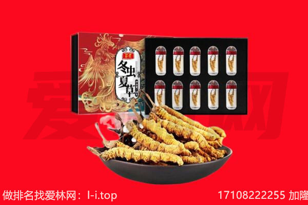 桓仁县回收虫草.jpg